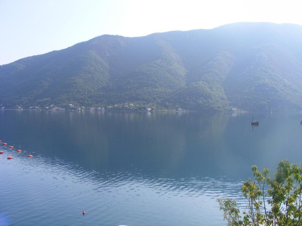 Apartments Biga Donji Morinj Dış mekan fotoğraf